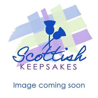 Silver sixpence: Congratulations/Good Luck